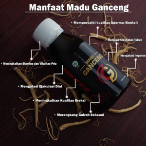madu ganceng stamina pria