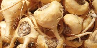 Ramuan Herbal untuk Meningkatkan Kesuburan Pria