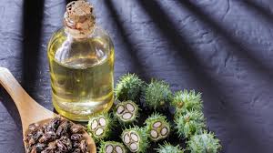 Jamu Tradisional untuk Eksim