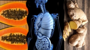 Herbal untuk pencernaan