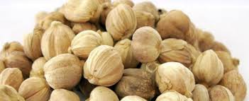 Obat Tradisional untuk Sakit Perut: Pilihan Alami yang Efektif